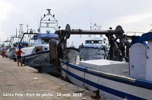 11 SANTA POLA PORT DE PECHE (78)